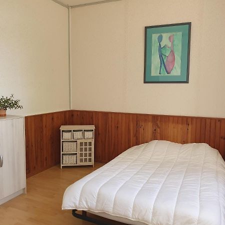 Camping Des 2 Rives- Chambres Etang-sur-Arroux Εξωτερικό φωτογραφία
